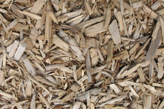 biomass boilers Tregonna